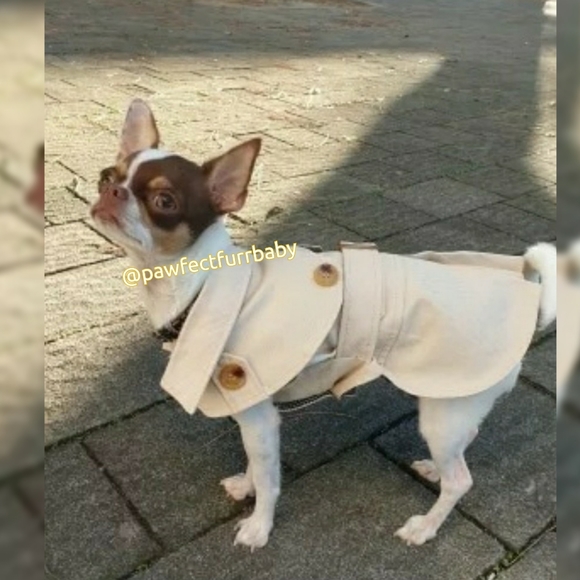 Fall Staple Doggy Trench - Picture 3 of 3